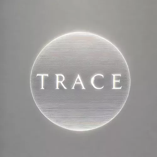 The Daily Magician - Trace (Video only)